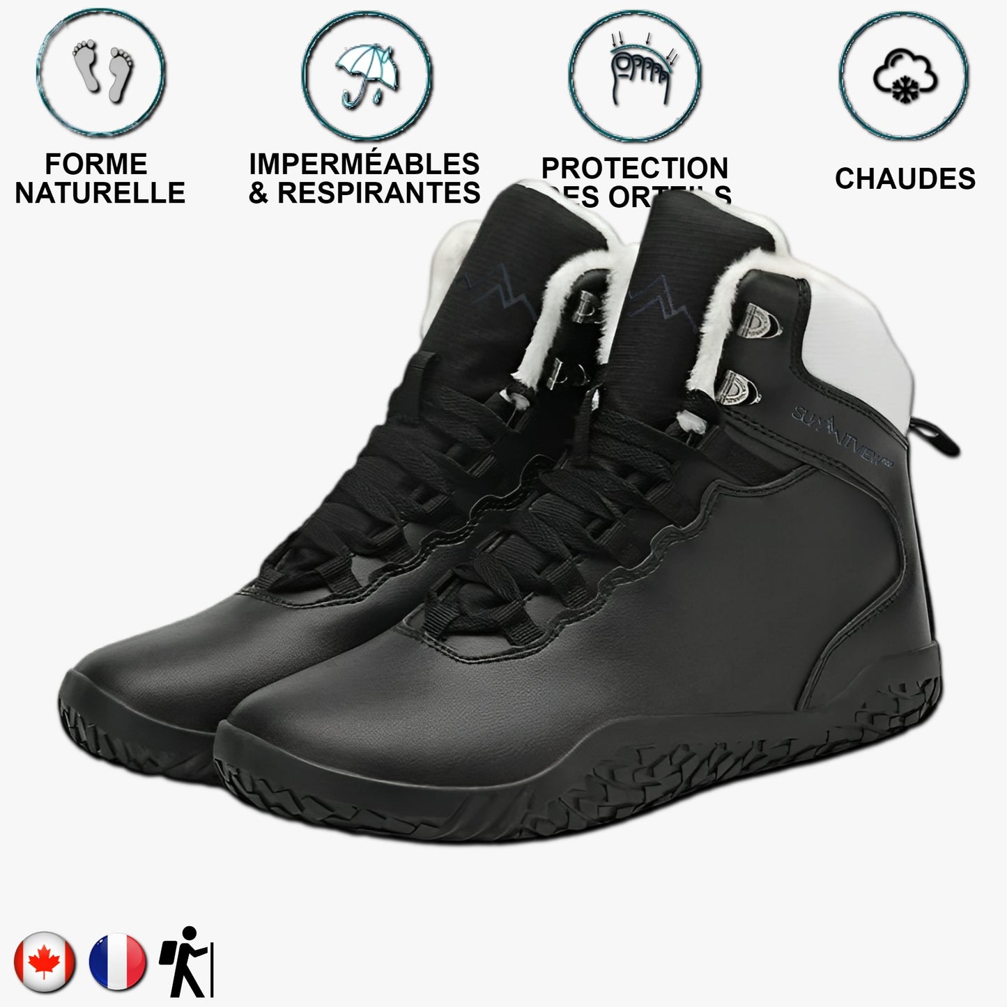 Aigle royal Noir et blanc