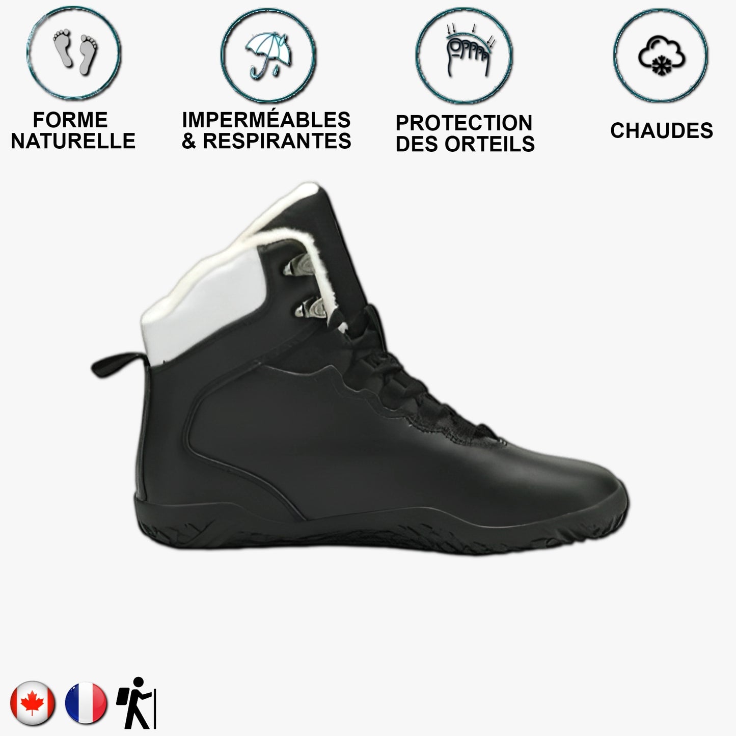 Aigle royal Noir et blanc