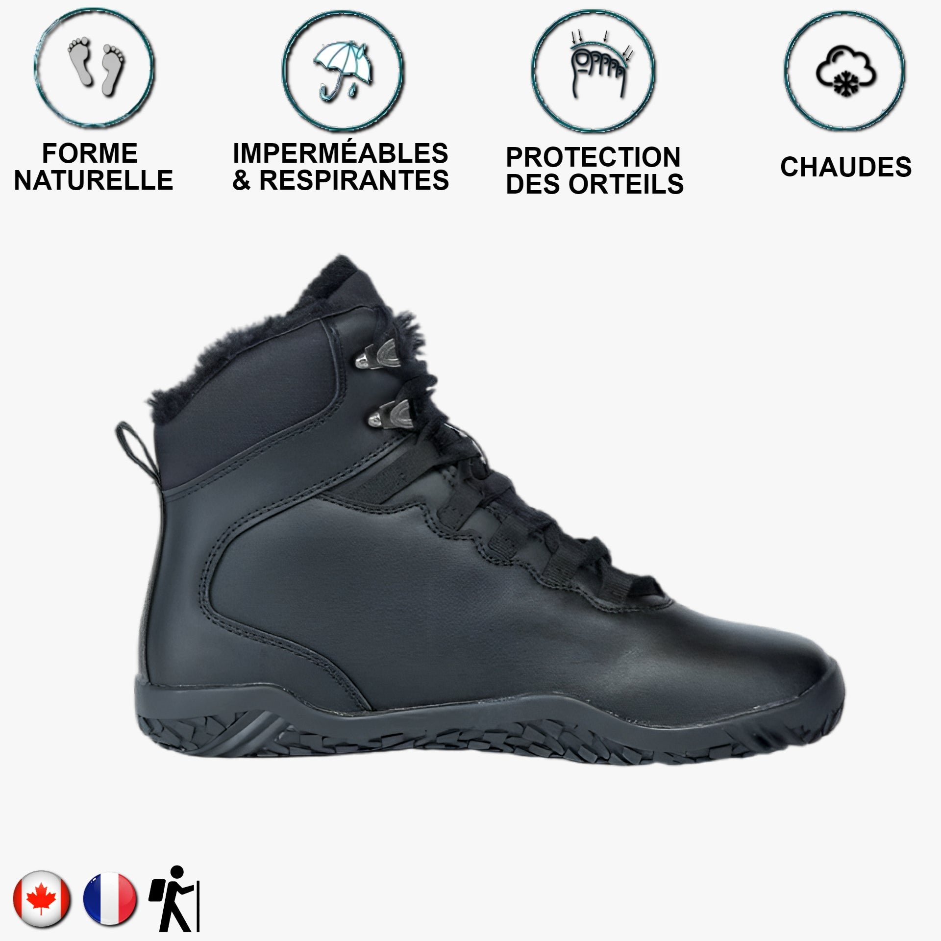 Aigle noir