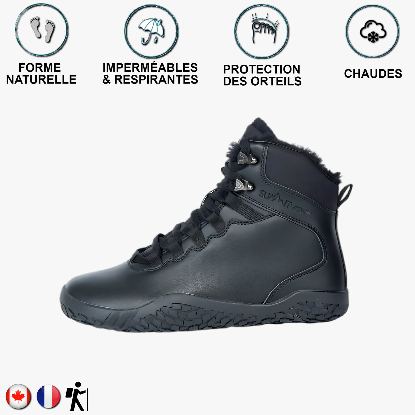 Aigle noir