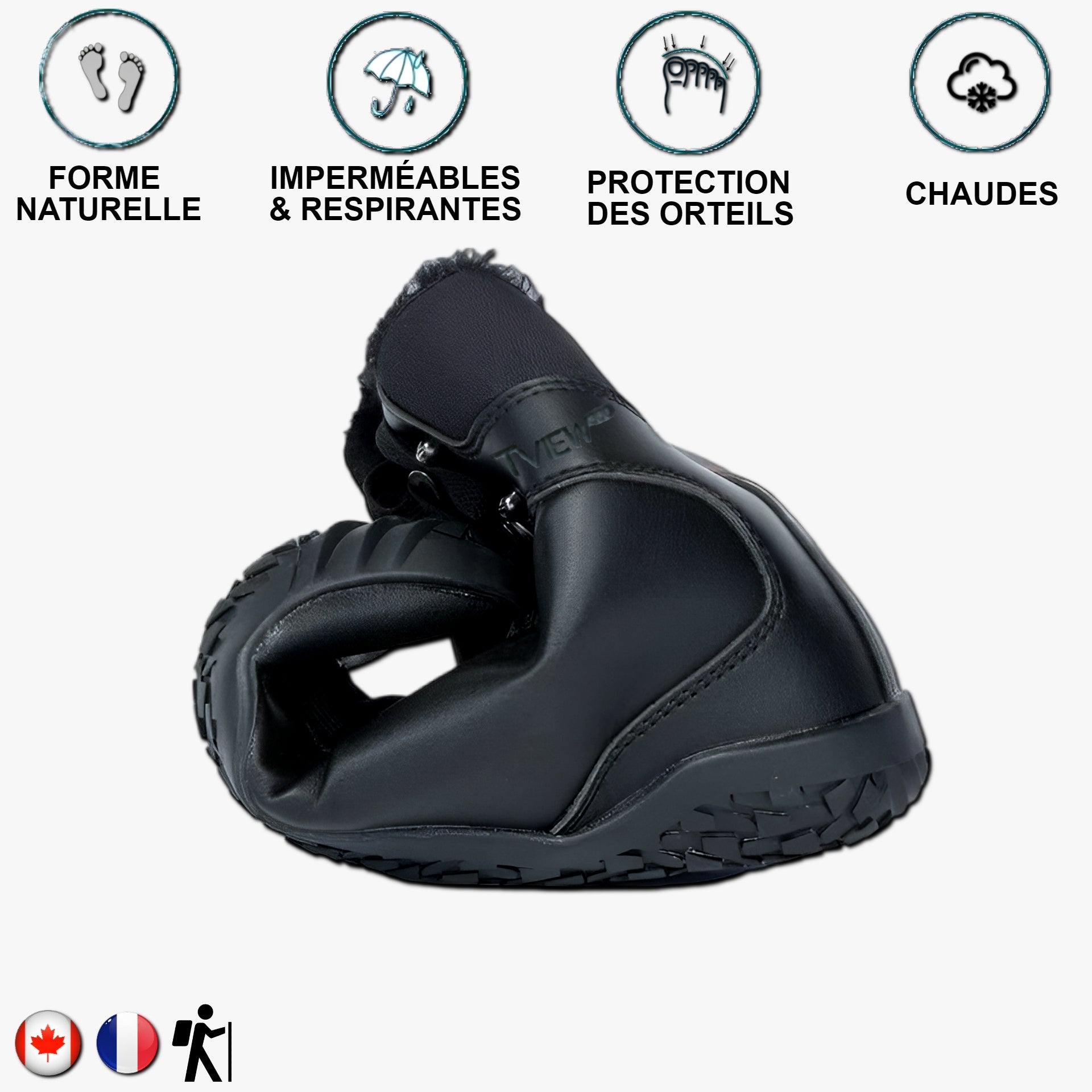 Aigle noir